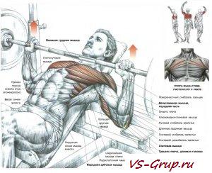 Жим на наклонной скамье