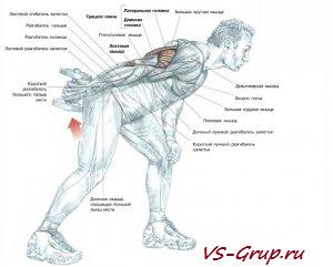 Разгибание одной руки назад с гантелью в наклоне