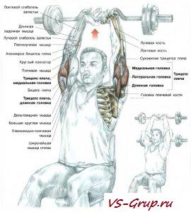 Разгибание рук с изогнутым грифом из-за котелка