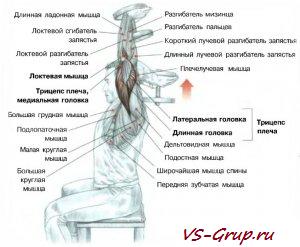 Разгибание рук с одной гантелью из-за котелка