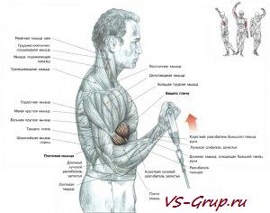 Сгибание рук с ручкой нижнего агрегата
