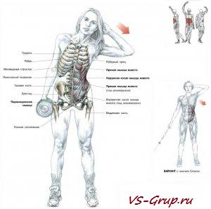 Боковые наклоны заслуживая