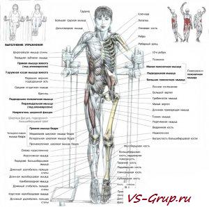 Влезание коленей в опоре
