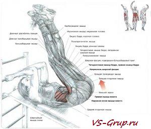 Взлет ног на наклонной скамье