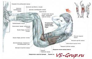 Влезание тела у гимнастической стены