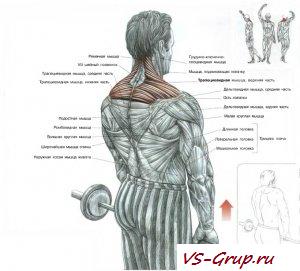 Шраги со штангой