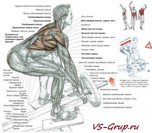 Тяга Т-образного грифа (гребля)