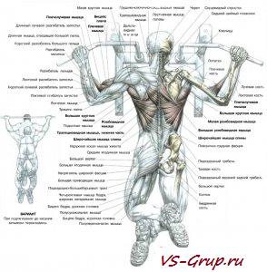 Подтягивания (на спец. перекладене)