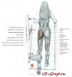 Махи ногой назад с рычагом тренажора