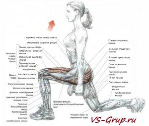 Выпады с гантелями