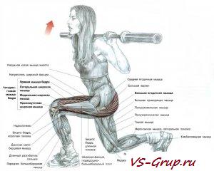 Выпады со штангой на плечах Выпады со штангой на плечах