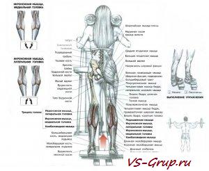 Взлеты на носки заслуживая