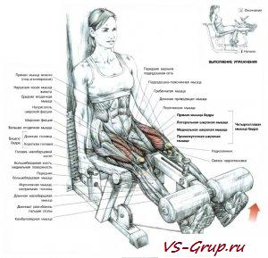 Разгибание ног