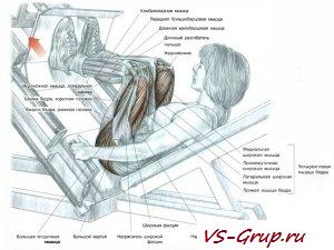 Наклонный жим ногами