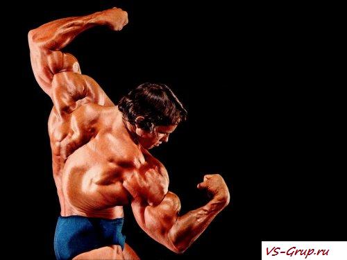 Набор мышечной массы. Советы и совета