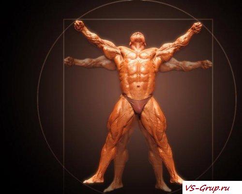 Боль в коленном сутсаве