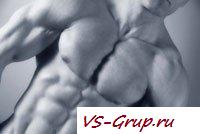 Телосложение в спорте