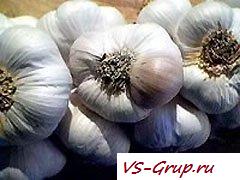 Чеснок-это стероид!