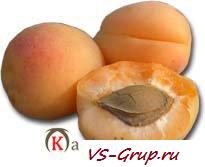 Витамин Р Витамин Р