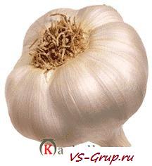 Чеснок спасает