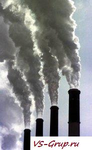 Экология и мускулы